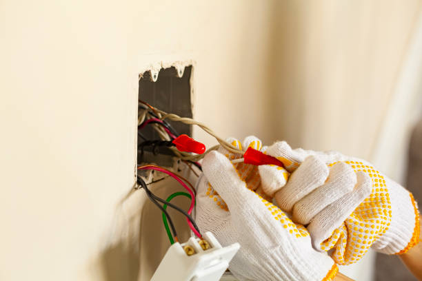 Best Electrical Remodeling Services  in Dillingham, AK